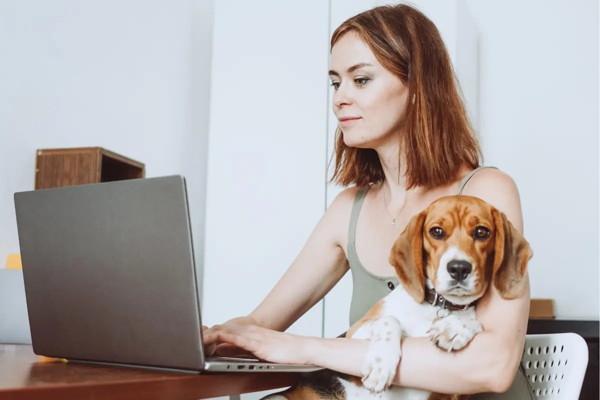 Woman work from home